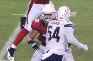carson palmer